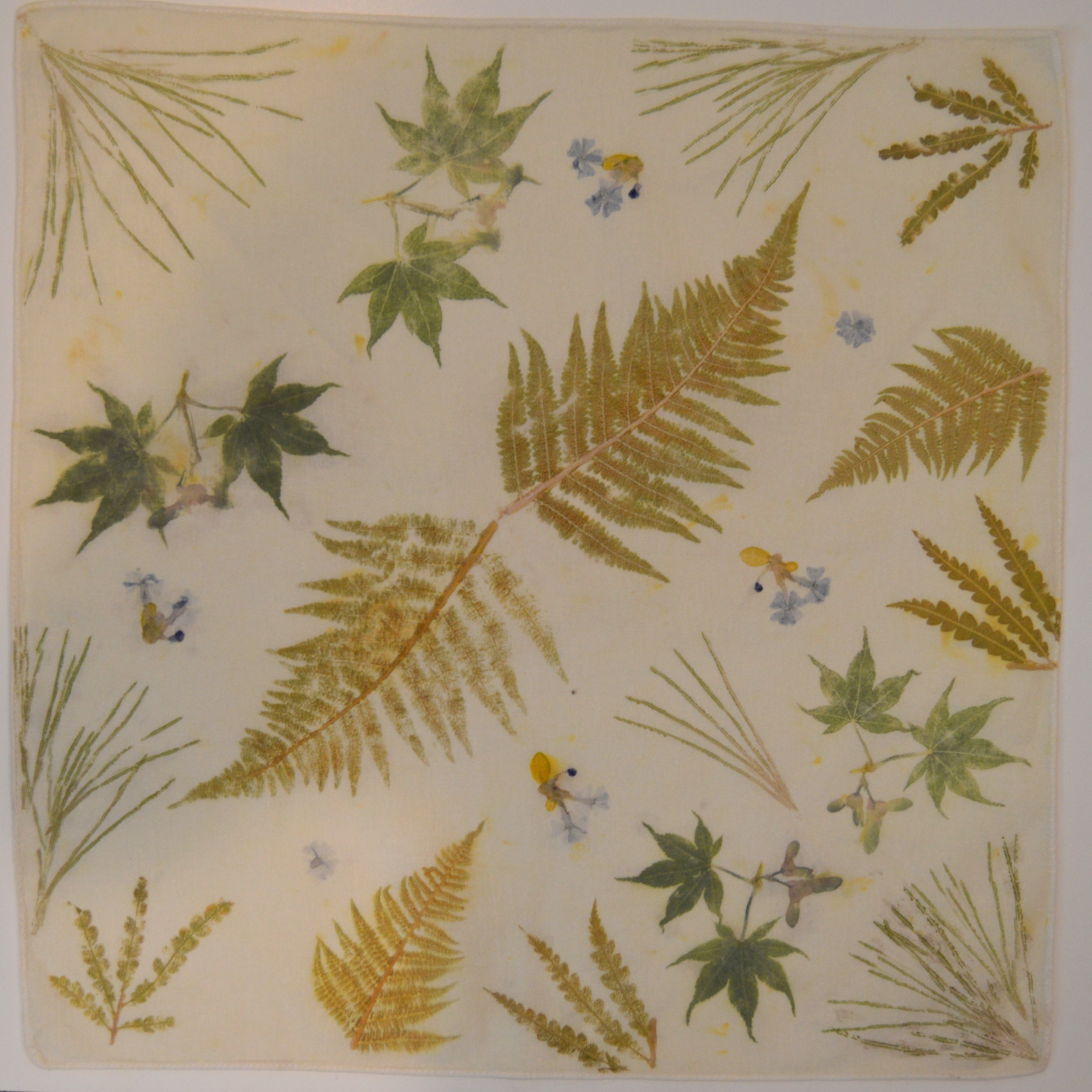 Late Summer Bandana — 100% cotton bandana pounded with ferns, maple leaves, and late-summer blue flowers, mordant treated