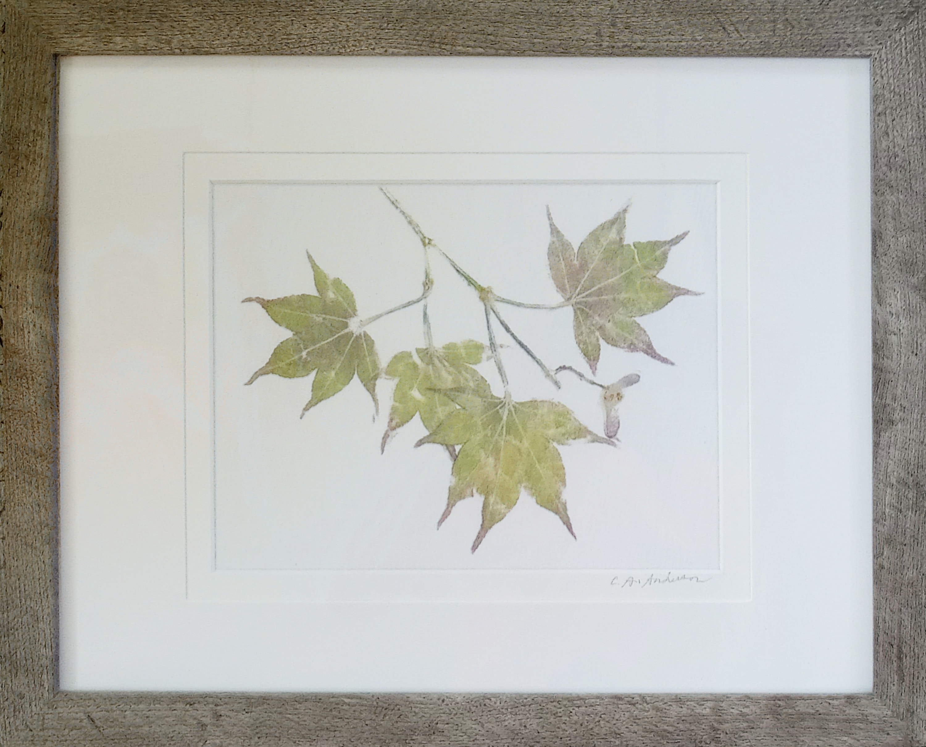 Changes I — Japanese maple on mordanted combed cotton