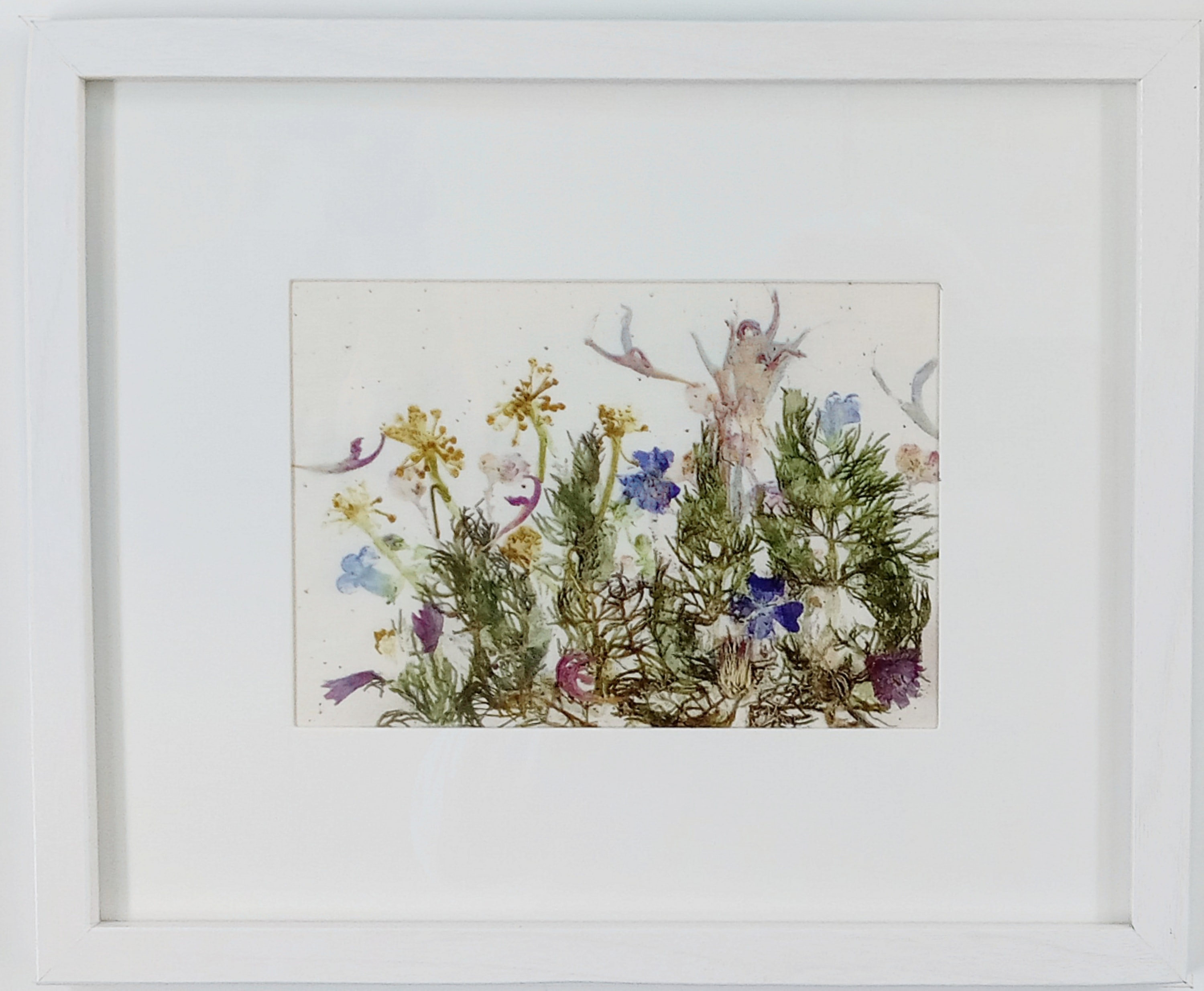 Magical Meadow II — framed botanical pounding artwork on mordanted combed cotton with delicate meadow flowers and foliage